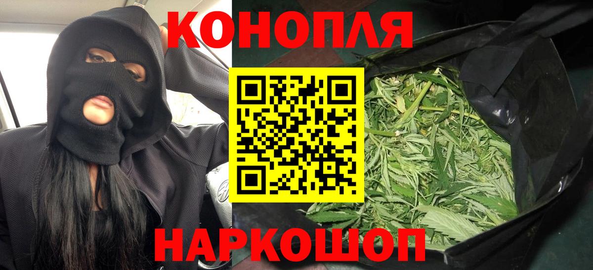 Бошки Шишки конопля Мыски